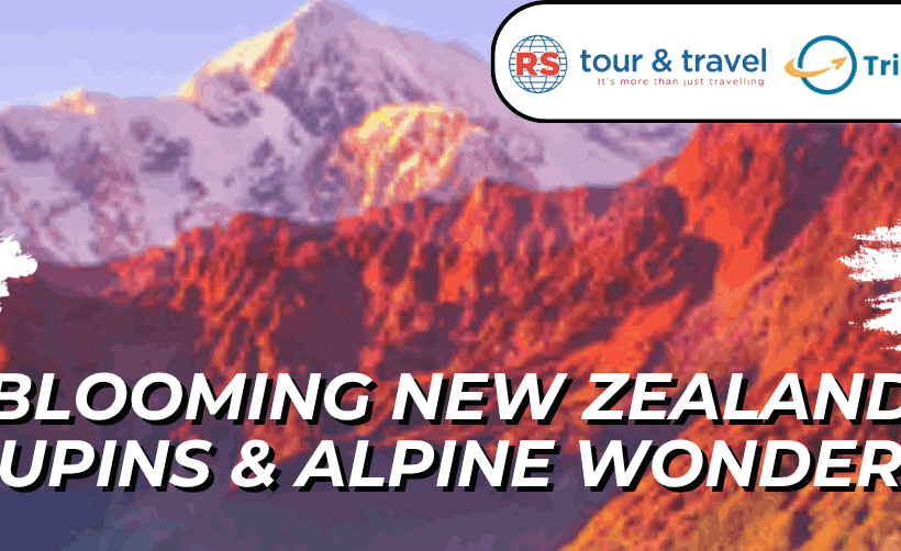 7D SPRING NEW ZEALAND